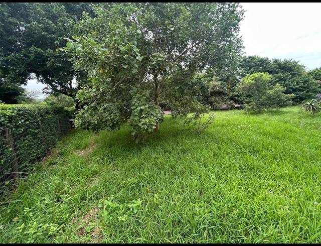 LAND FOR SALE IN ZINI RIVER ESTATE